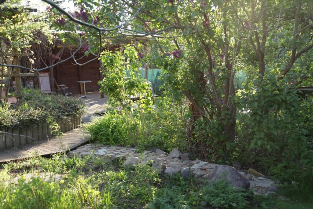 Ferienwohnung In Peetzig Am See アンガーミュンデ エクステリア 写真