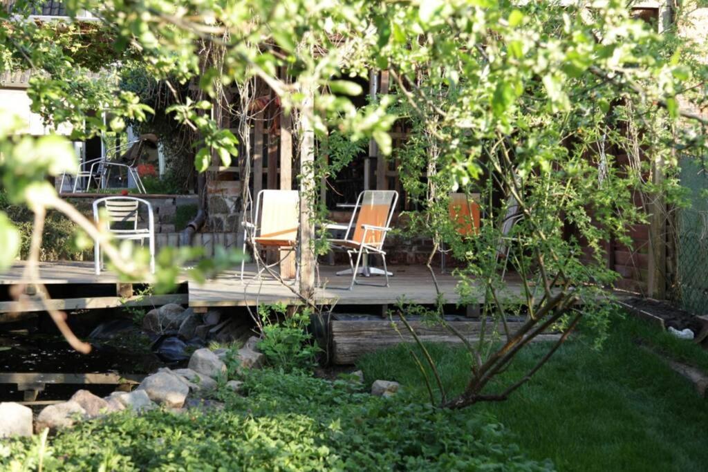 Ferienwohnung In Peetzig Am See アンガーミュンデ エクステリア 写真