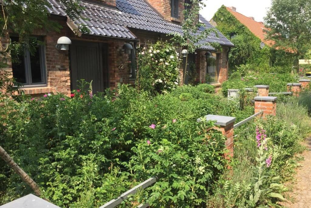 Ferienwohnung In Peetzig Am See アンガーミュンデ エクステリア 写真